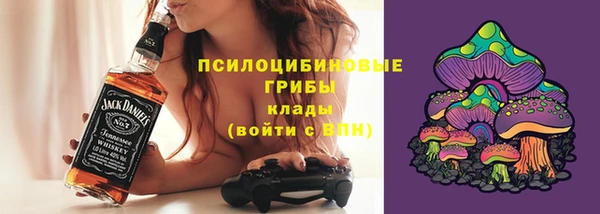 Альфа ПВП Бородино