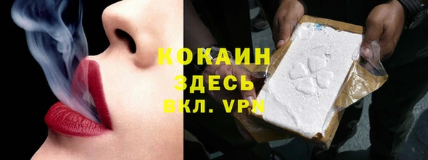 Альфа ПВП Бородино