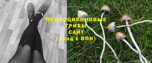 Альфа ПВП Бородино