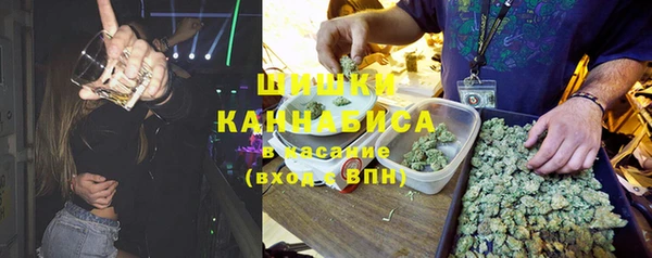 Альфа ПВП Бородино