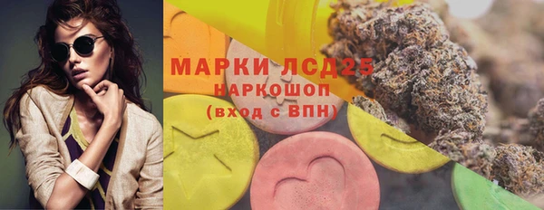 ГАЛЛЮЦИНОГЕННЫЕ ГРИБЫ Бугульма