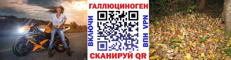 площадка состав  Кущёвская  Галлюциногенные грибы мицелий  цены  