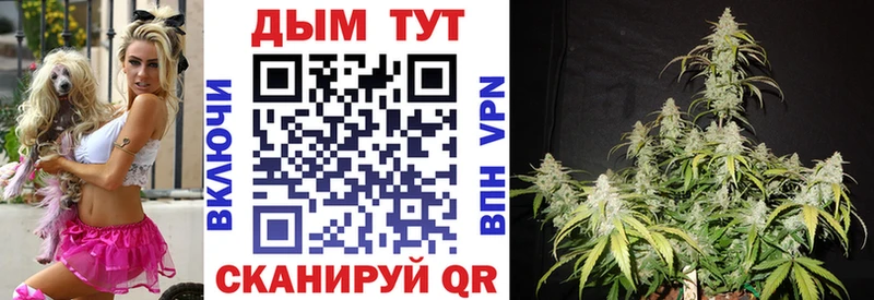 Бошки марихуана Bruce Banner  где найти   Кущёвская 